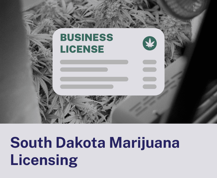 South Dakota Marijuana Licensing