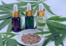 South Dakota Active Medical Marijuana Patients in 2025.png